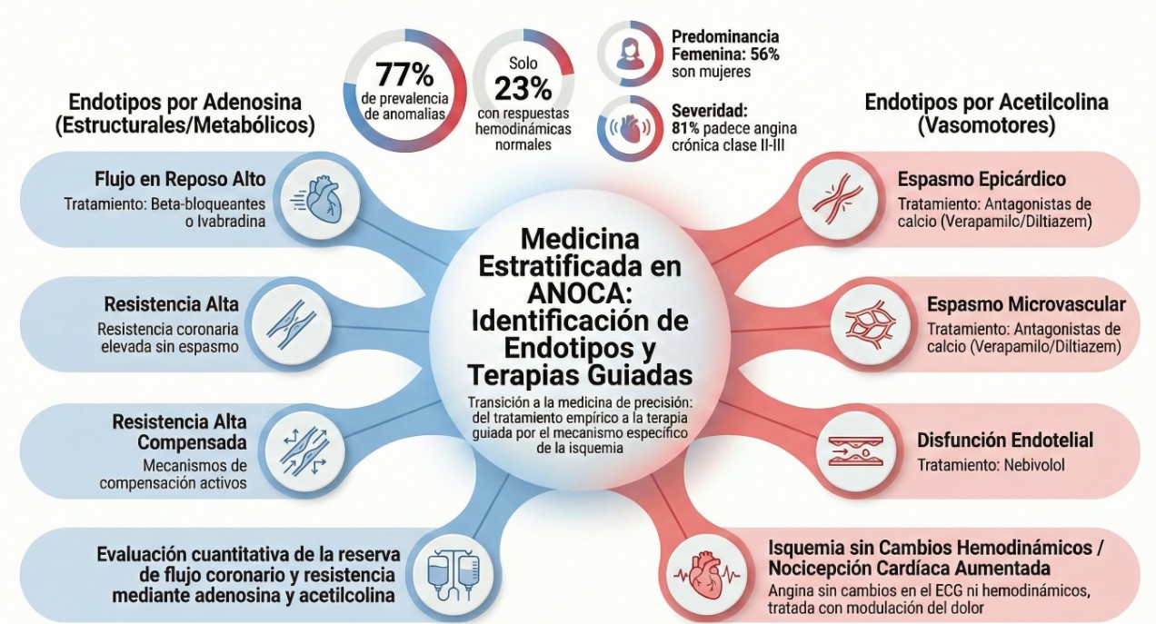 Ocho endotipos de angina con coronarias no obstructivas
