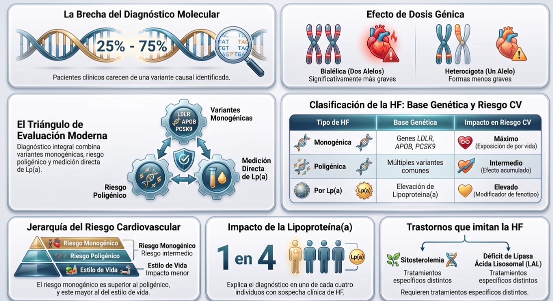Diagnóstico genético de la hipercolesterolemia familiar en la práctica clínica actual 2026