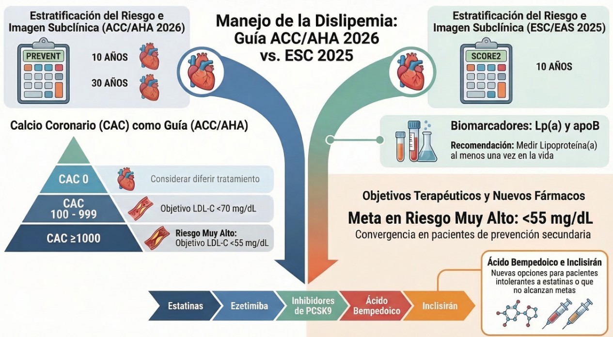 Nuevas Guias ACC 2026 Dislipemias
