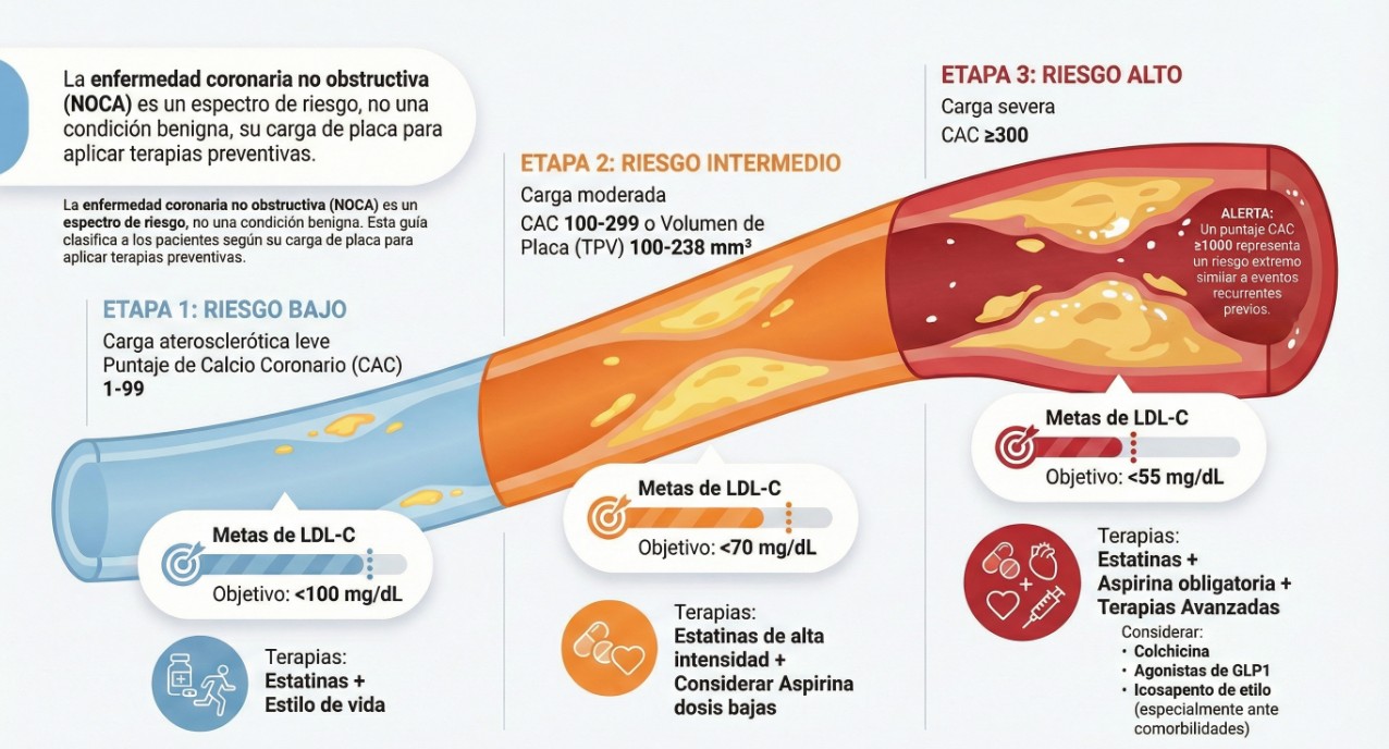 Etapas y tratamiento de NOCA