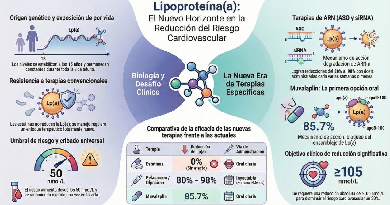 Lipoproteína(a) y Riesgo Cardiovascular