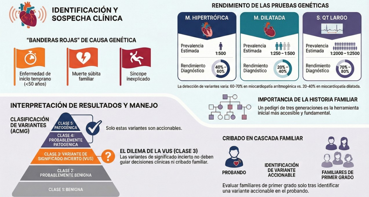 Qué debe saber un cardiólogo clínico sobre cardiogenética