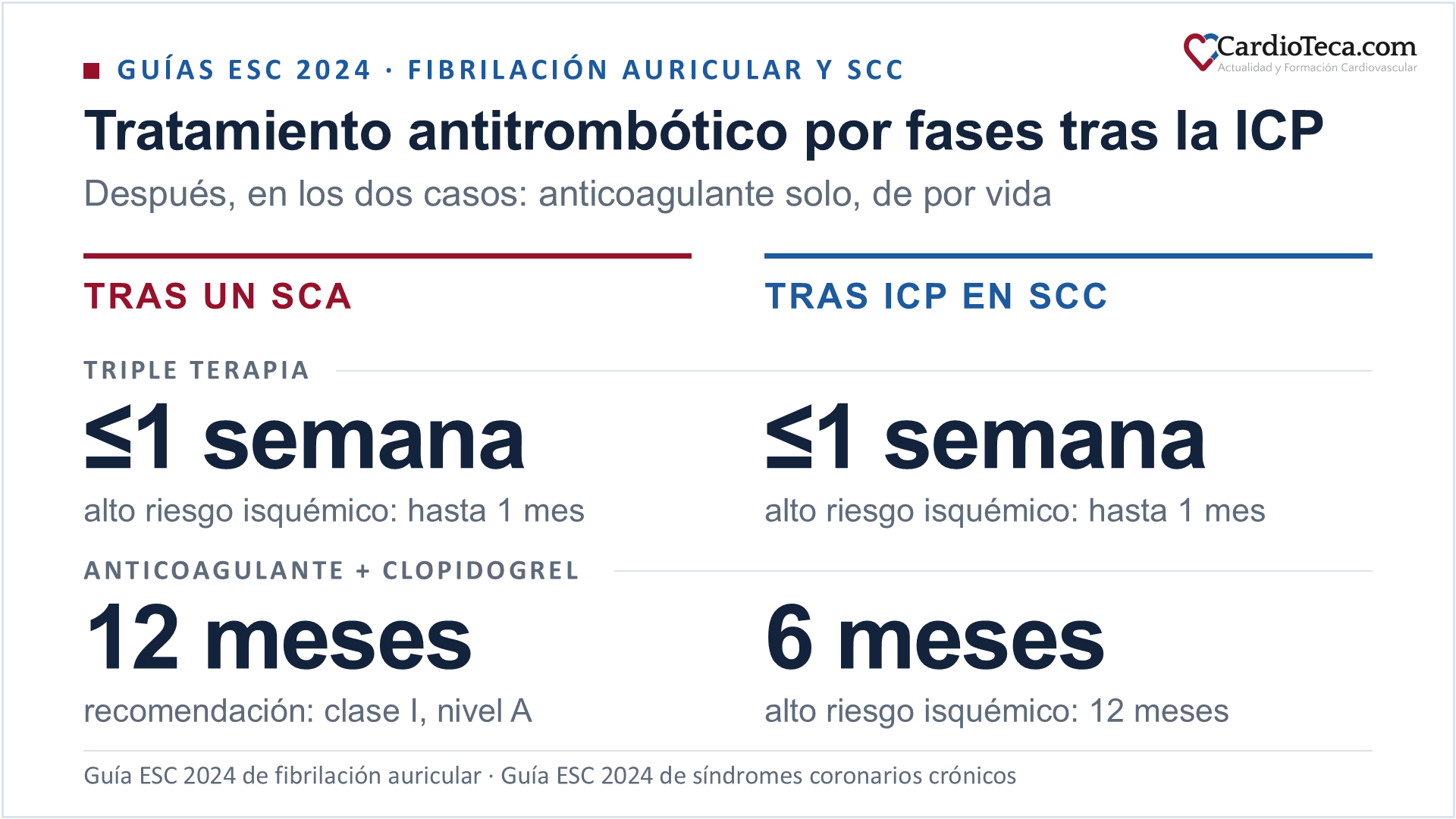 Tratamiento antitrombótico por fases tras la intervención coronaria percutánea en pacientes con fibrilación auricular, según las guías ESC 2024 de fibrilación auricular y de síndromes coronarios crónicos. Tras un síndrome coronario agudo, triple terapia durante una semana como máximo, hasta un mes si el riesgo isquémico es alto; después, anticoagulante con clopidogrel hasta 12 meses, con clase I y nivel de evidencia A; y a continuación, anticoagulante solo de por vida. Tras una intervención en el síndrome coronario crónico, triple terapia durante una semana como máximo, hasta un mes si el riesgo isquémico es alto; después, anticoagulante con clopidogrel hasta 6 meses, o 12 si el riesgo isquémico es alto; y a continuación, anticoagulante solo de por vida
