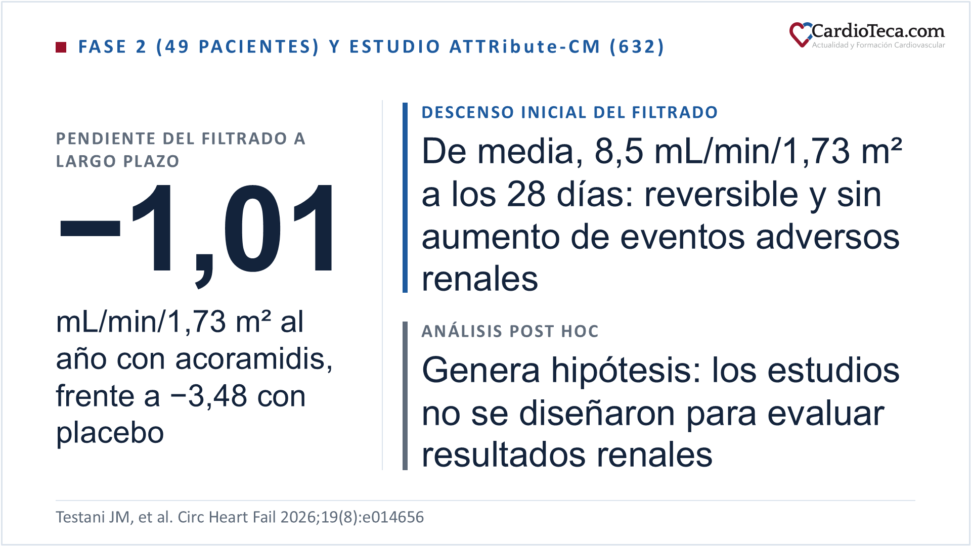Resultados del análisis post hoc del estudio de fase 2 (49 pacientes) y del estudio ATTRibute-CM (632 pacientes) sobre acoramidis y función renal en la amiloidosis cardiaca por transtiretina: la pendiente del filtrado glomerular a largo plazo fue de −1,01 mL/min/1,73 m² al año con acoramidis, frente a −3,48 con placebo; al iniciar acoramidis, el filtrado descendió de media 8,5 mL/min/1,73 m² a los 28 días, de forma reversible y sin aumento de eventos adversos renales; los estudios no se diseñaron para evaluar resultados renales, así que el análisis genera hipótesis