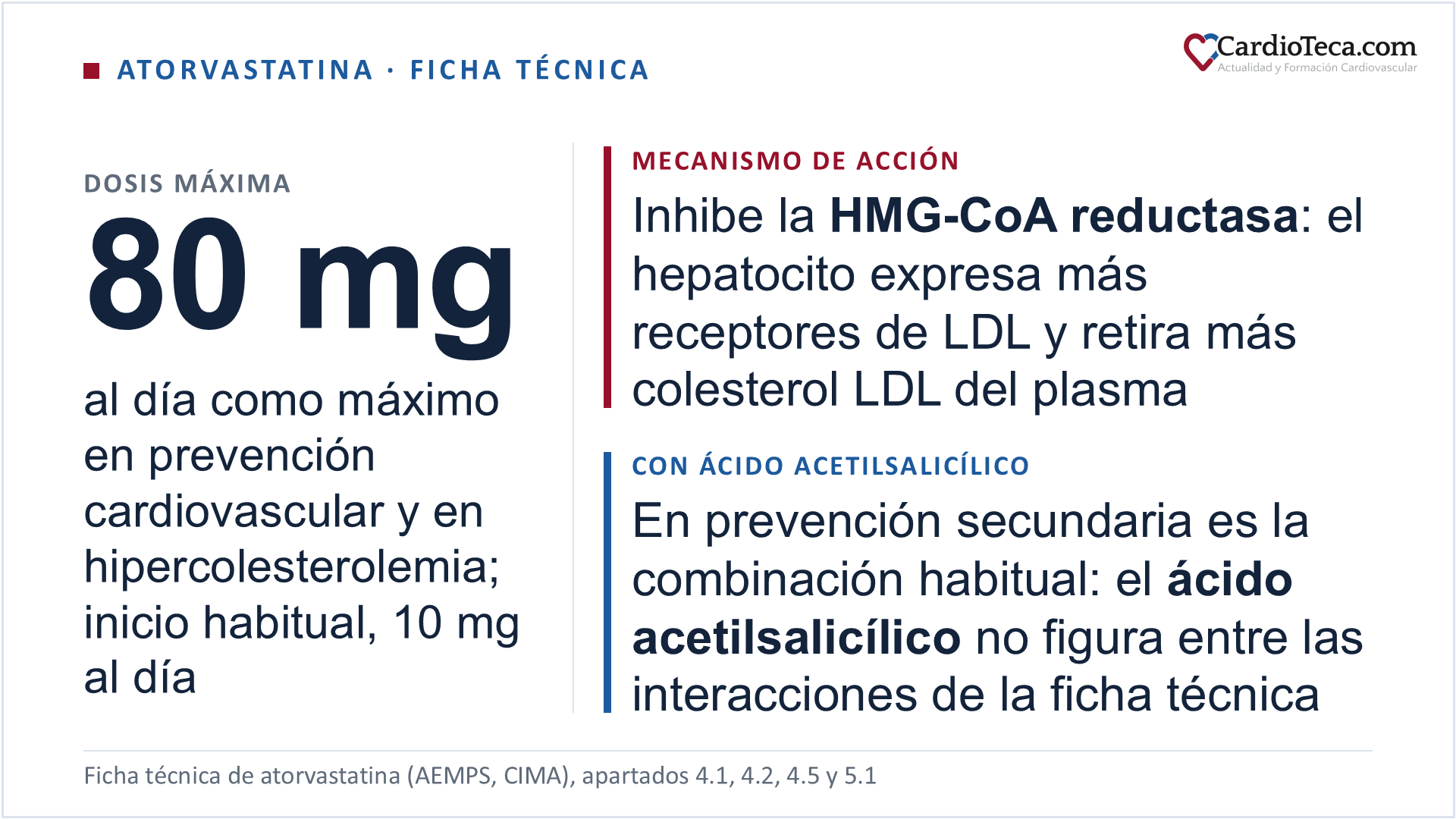 Atorvastatina según la ficha técnica: la dosis inicial habitual es de 10 mg al día y la máxima, de 80 mg al día, en una sola toma a cualquier hora, con o sin comida, con ajustes a intervalos de 4 semanas o más; las indicaciones son la hipercolesterolemia, desde los 10 años, y la prevención de acontecimientos cardiovasculares en adultos con riesgo estimado elevado de sufrir un primer acontecimiento, y con 40 a 80 mg al día entra en la categoría de estatina de alta intensidad. Su mecanismo de acción es la inhibición competitiva de la HMG-CoA reductasa, la enzima que marca el paso limitante de la síntesis hepática de colesterol: al caer el colesterol dentro del hepatocito, la célula expresa más receptores de LDL y retira más colesterol LDL del plasma. El ácido acetilsalicílico no figura entre las interacciones de la ficha técnica, que sí recoge la warfarina, la digoxina y los anticonceptivos orales, y en prevención secundaria es la combinación habitual; la guía ESC 2023 de síndromes coronarios agudos recoge la polipíldora de ácido acetilsalicílico, ramipril y atorvastatina con clase IIa y nivel de evidencia B. En la insuficiencia renal no hace falta ajustar la dosis, porque las enfermedades renales no afectan a las concentraciones plasmáticas de atorvastatina ni de sus metabolitos activos ni a sus efectos sobre los lípidos; está contraindicada en el embarazo y en la lactancia, y se metaboliza por el CYP3A4, la vía por la que se producen sus interacciones principales