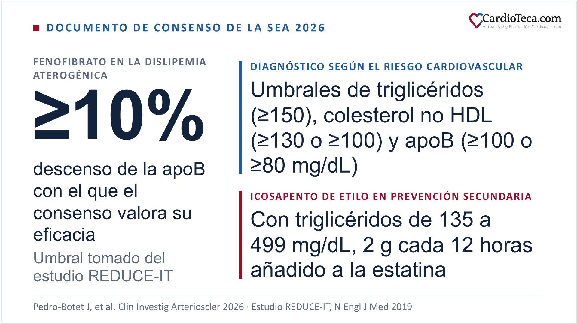 Tres puntos del documento de consenso de la Sociedad Española de Arteriosclerosis de 2026 sobre dislipemia aterogénica. Primero, el consenso valora la eficacia del fenofibrato por el descenso de la apolipoproteína B, que debe ser de al menos el 10%, un umbral tomado del estudio REDUCE-IT. Segundo, el diagnóstico se basa en triglicéridos en ayunas de 150 mg/dL o más, colesterol no HDL de 130 o 100 mg/dL o más y apolipoproteína B de 100 u 80 mg/dL o más, según el riesgo cardiovascular sea moderado o alto. Tercero, en prevención secundaria con triglicéridos entre 135 y 499 mg/dL, el consenso propone añadir a la estatina icosapento de etilo 2 g cada 12 horas