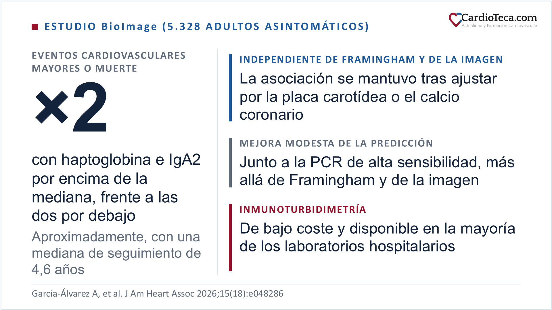 Resultados del estudio BioImage en 5.328 adultos asintomáticos seguidos una mediana de 4,6 años: con haptoglobina e inmunoglobulina A2 por encima de la mediana, la tasa de eventos cardiovasculares mayores o muerte por cualquier causa fue aproximadamente el doble que con las dos por debajo; la asociación se mantuvo con independencia de la escala de Framingham y tras ajustar por la placa carotídea o el calcio coronario; la combinación con la proteína C reactiva de alta sensibilidad mejoró la predicción de forma modesta, más allá de la escala de Framingham y de la imagen; las dos proteínas se miden por inmunoturbidimetría, una técnica de bajo coste disponible en la mayoría de los laboratorios hospitalarios