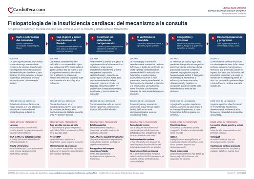 Lámina de la fisiopatología de la insuficiencia cardiaca: los seis pasos, con qué pasa, cómo se ve en la consulta y dónde actúa el tratamiento