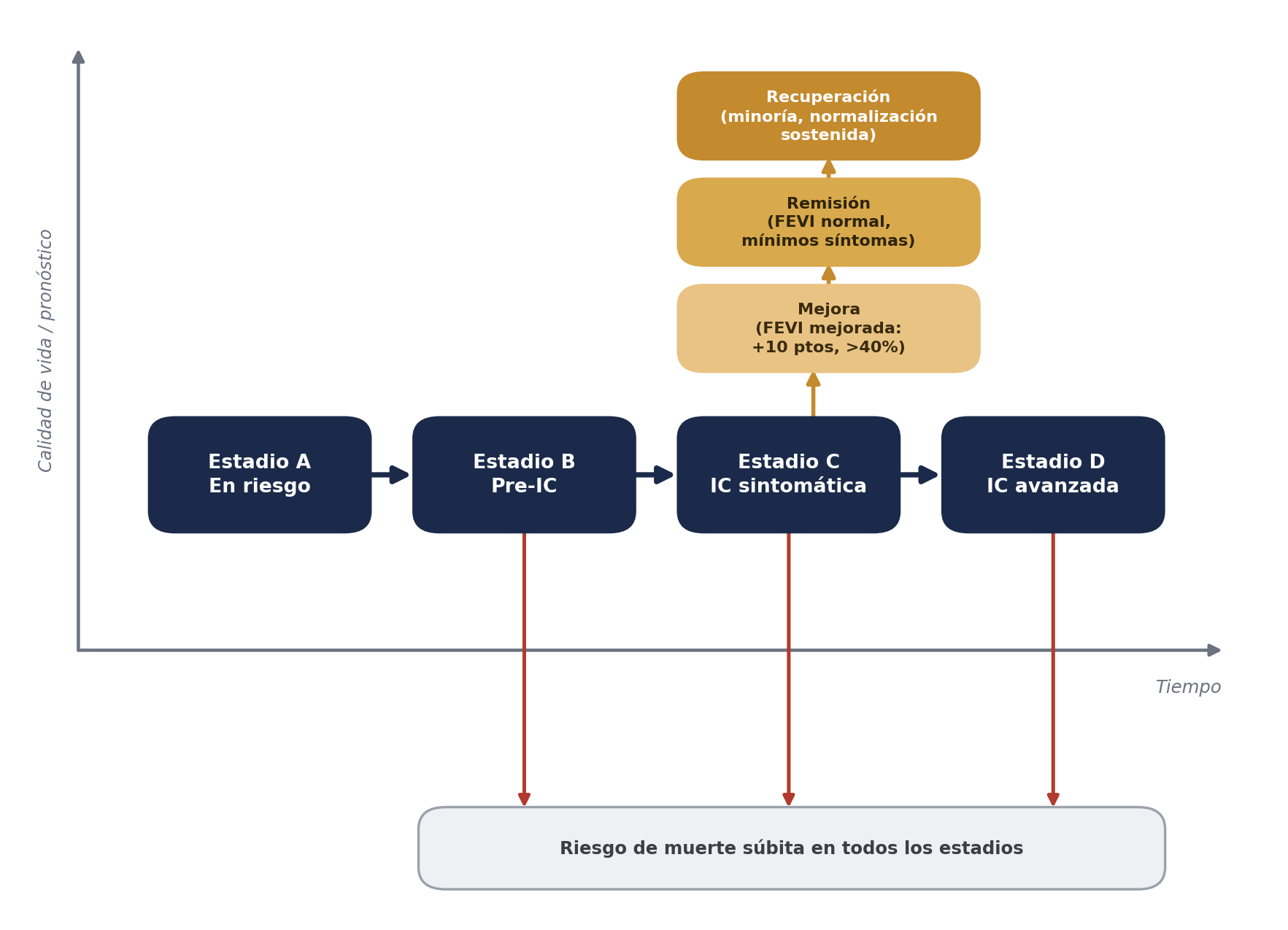 Diagrama de las trayectorias de la insuficiencia cardíaca desde el estadio A de riesgo hasta el estadio D avanzado, con las ramas de remisión, recuperación y FEVI mejorada